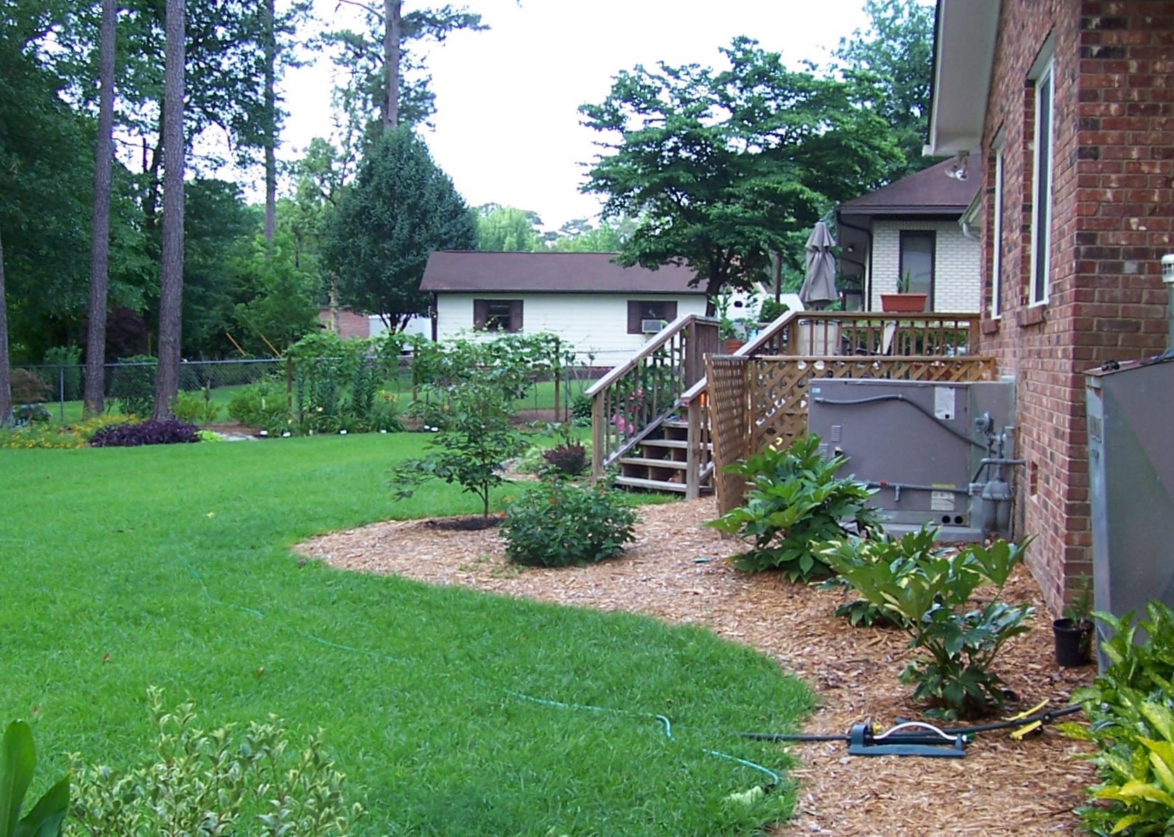 a yard with plants, trees, and a set of stairs