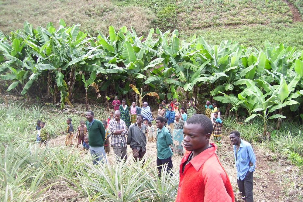 people stand outside in a field with a large group of plants