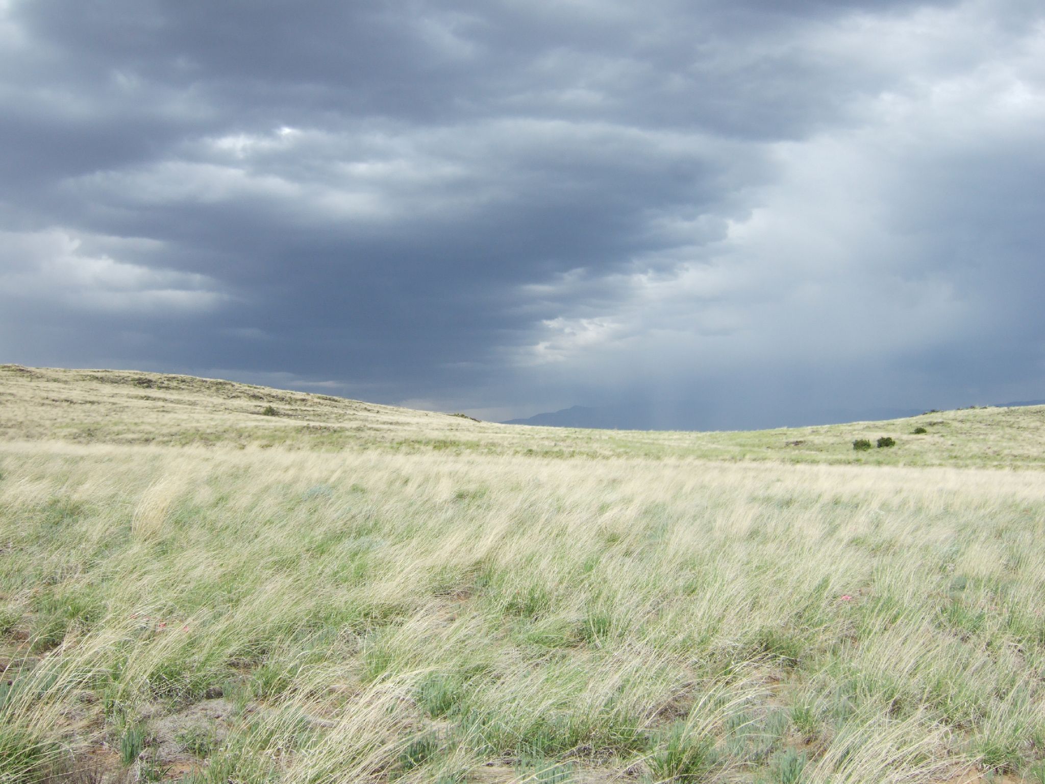 field with trees on the top of it under cloudy skies