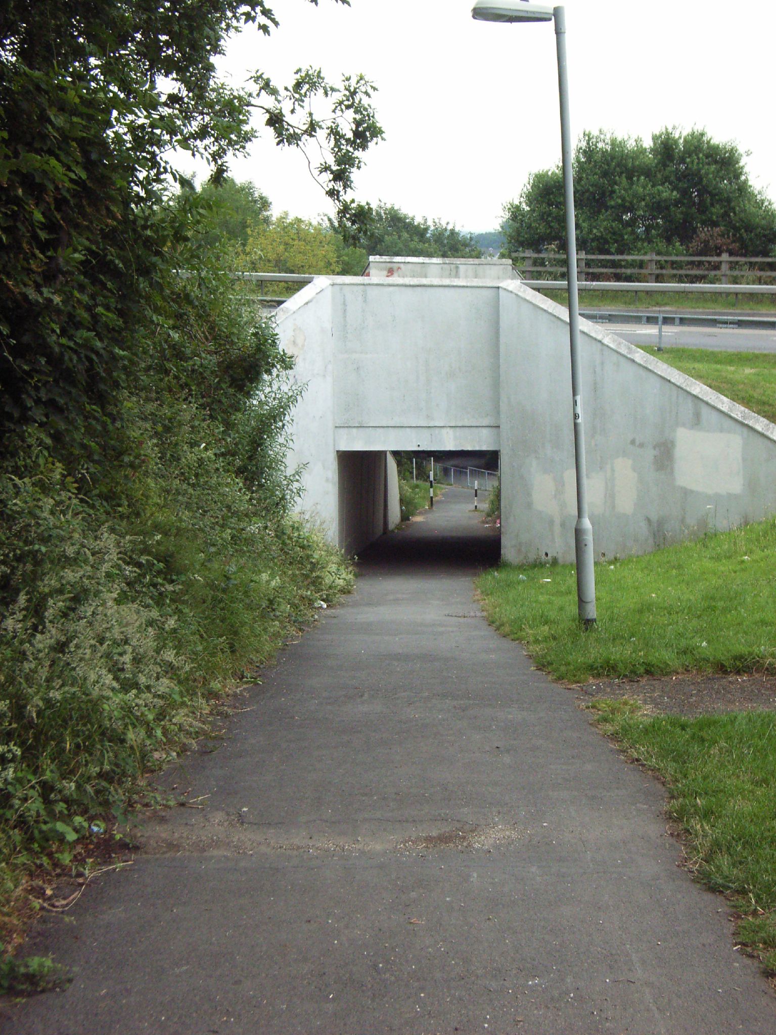 a large cement tunnel is built next to a grassy area