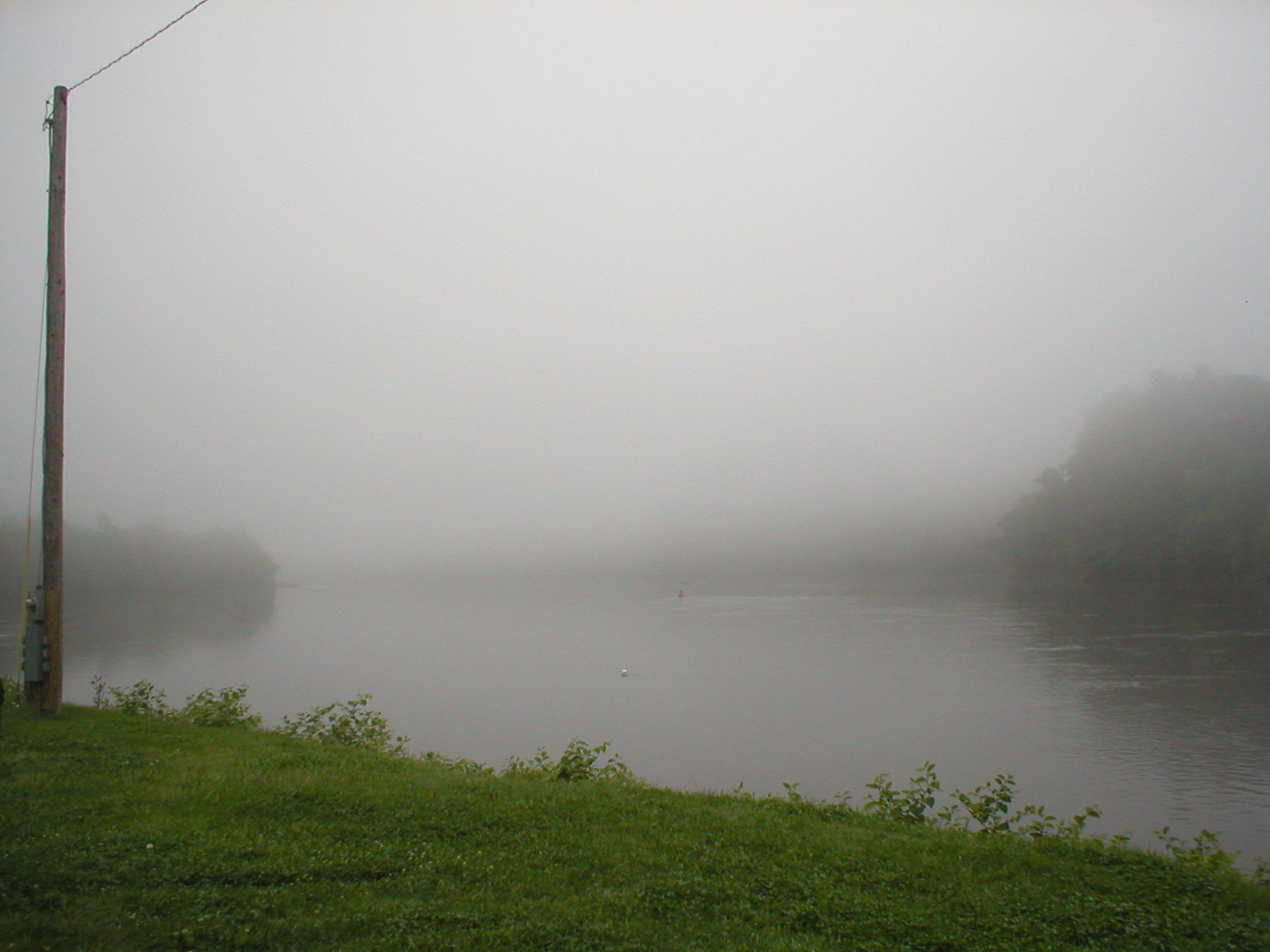 a misty scene in the countryside with a lake and trees