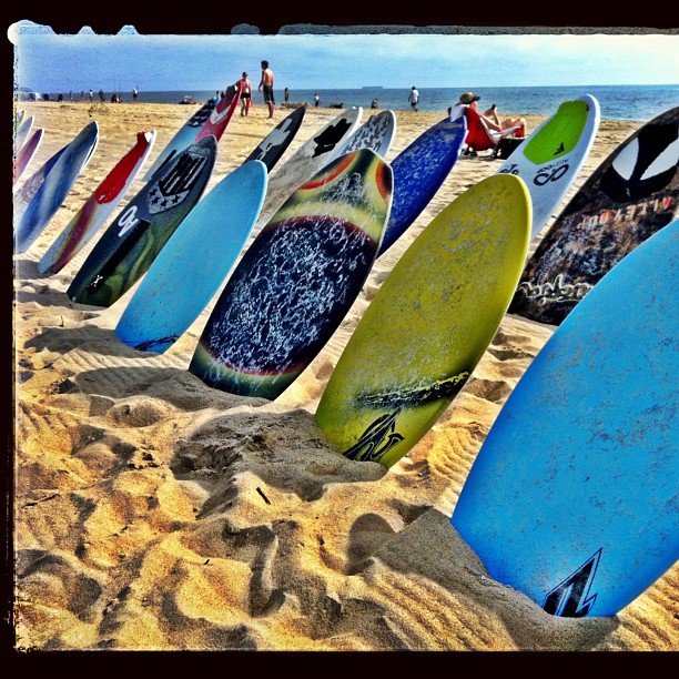 a bunch of surfboards standing up against a beach