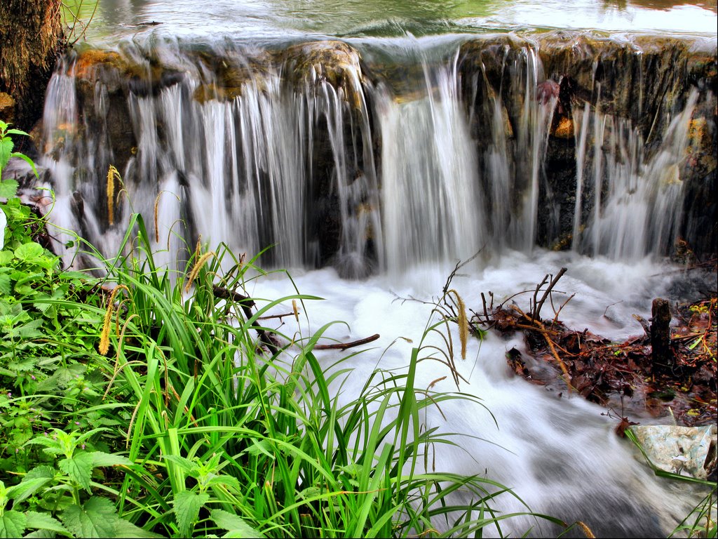 a waterfall flowing with grass and plants next to it