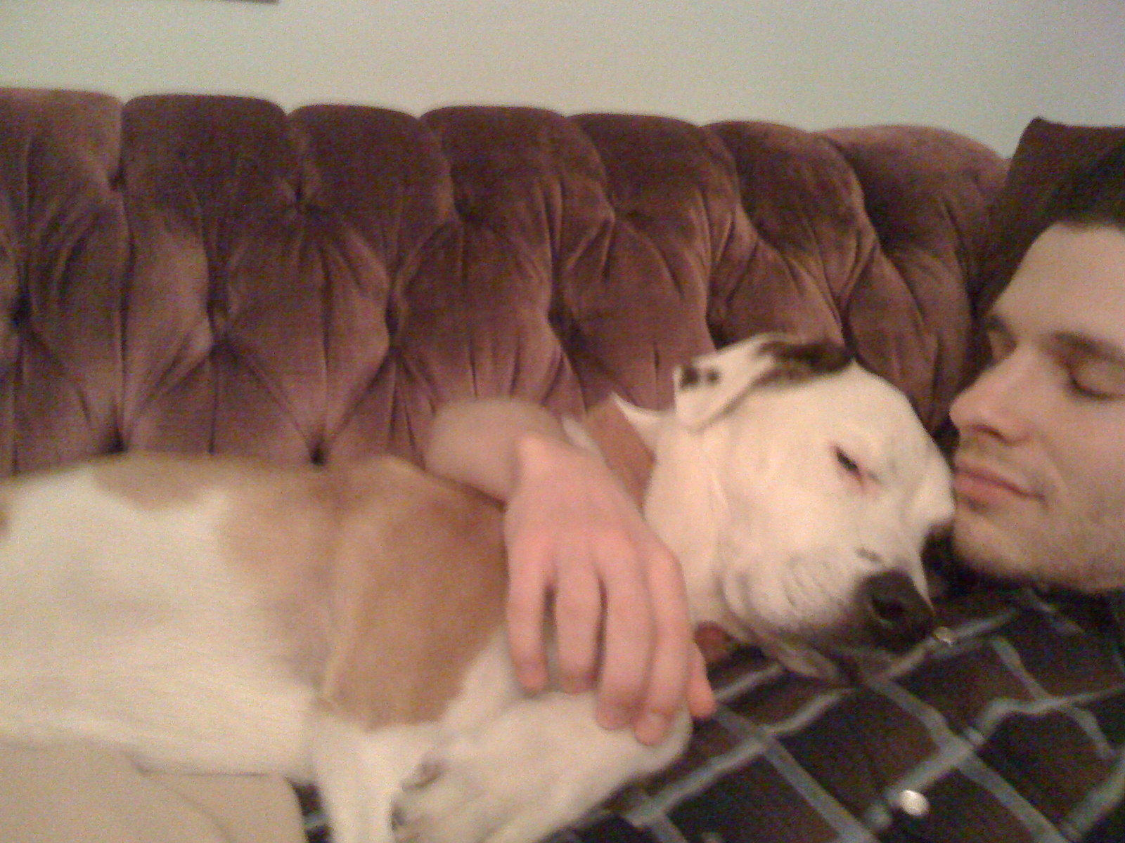 man laying on a couch with a dog who is cuddled up with him