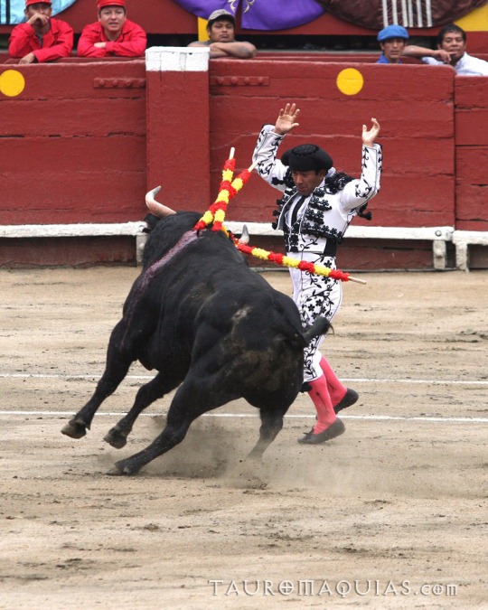 a bull and a mata are fighting in front of a crowd