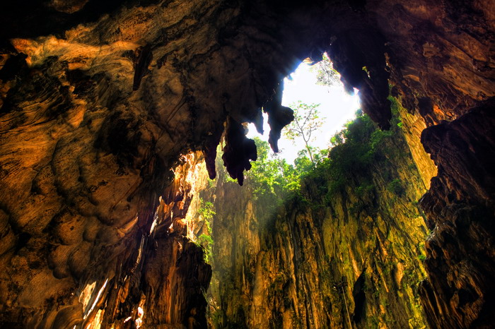 a cave entrance shows an array of vegetation