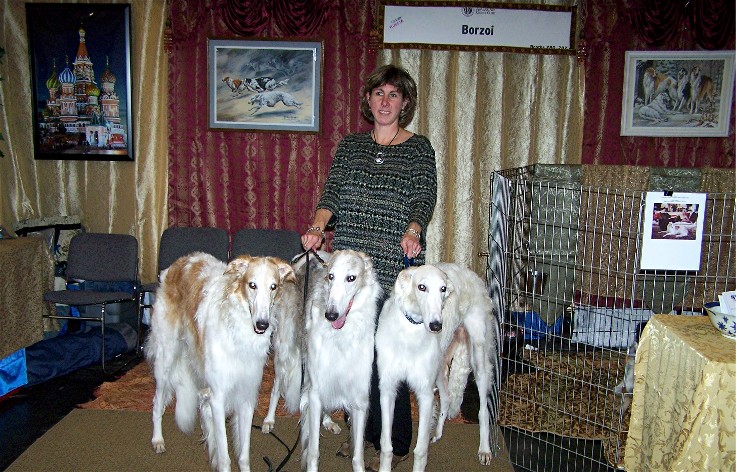 a woman holding a dog and two large dogs in a room