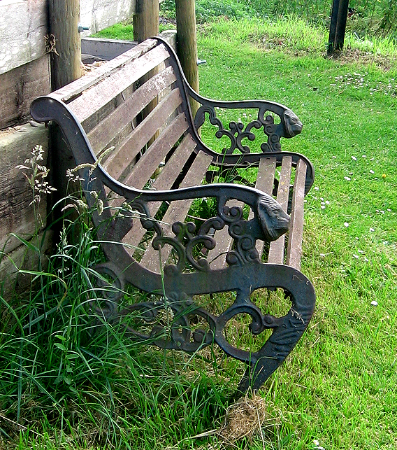 an empty wooden bench near an old shed