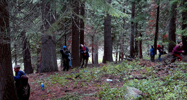 a group of people that are in the woods