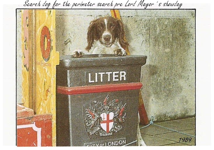 a dog is standing in a litter bin