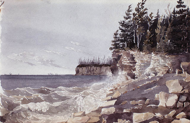 an illustration of an ocean shoreline in a watercolor