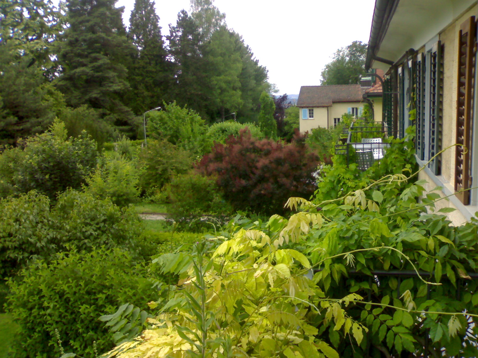 there is a house with some bushes in front of it