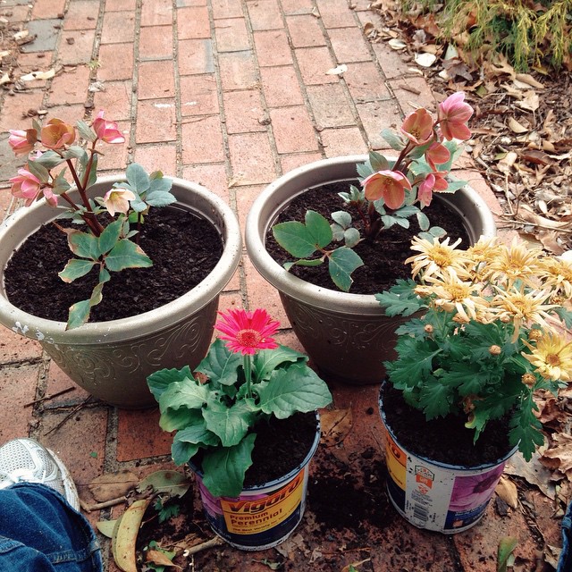 three planters with flower in them on the ground