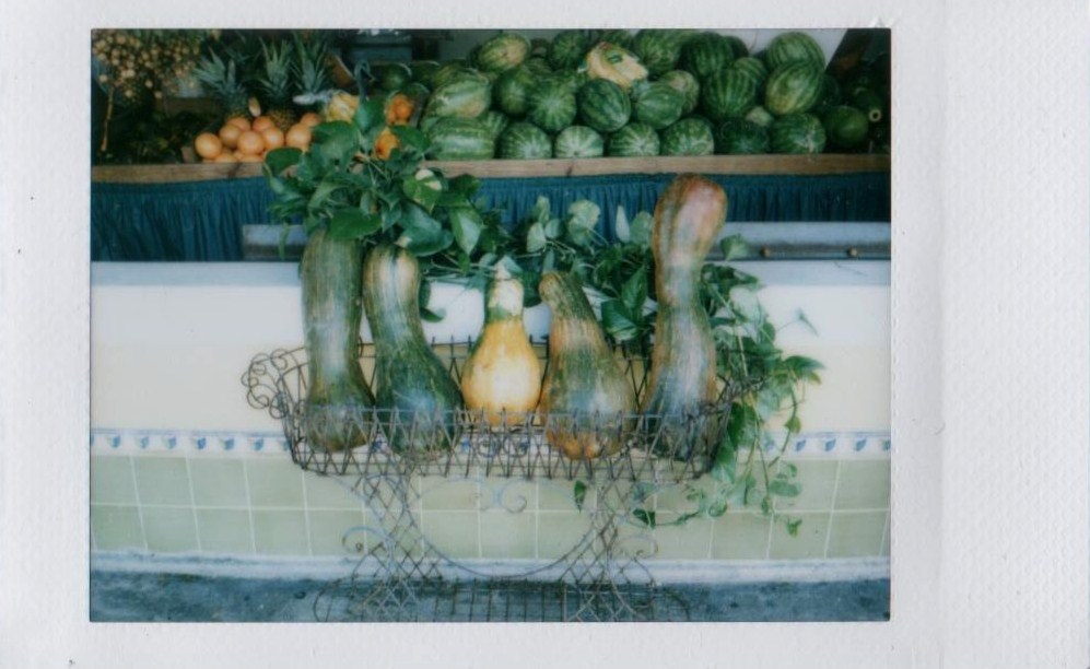 several vegetable arrangements with baskets on the wall