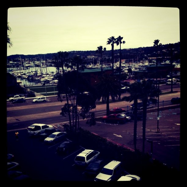 a parking lot with lots of parked cars and palm trees