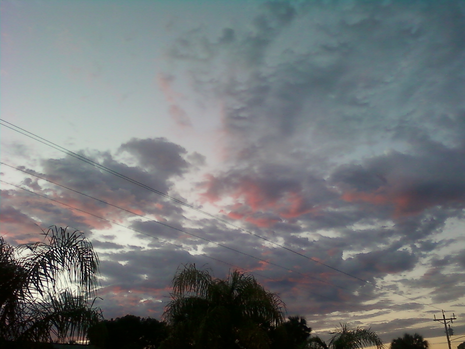 some clouds and trees in the evening time