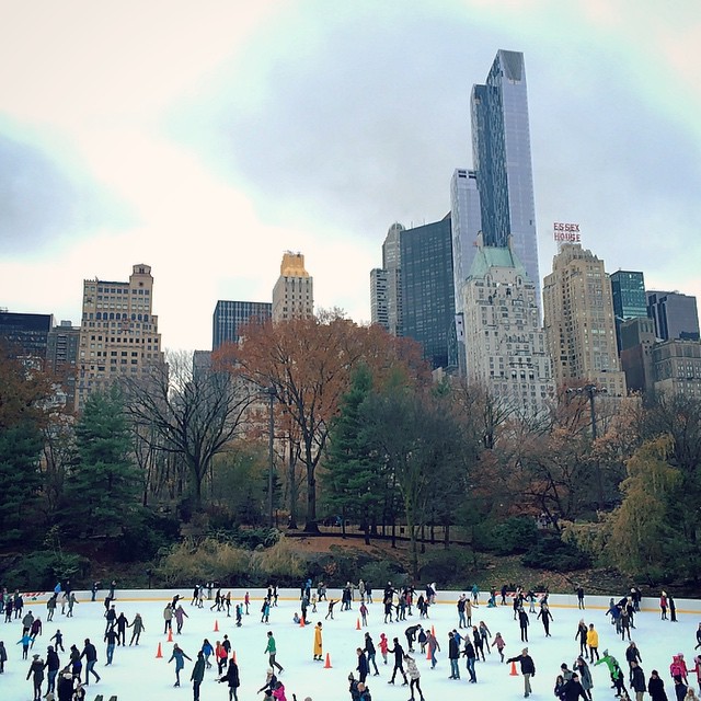 group of people skating on ice in large park