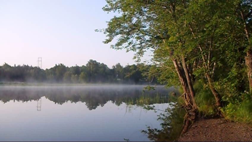 trees surrounding the lake are covered by mist
