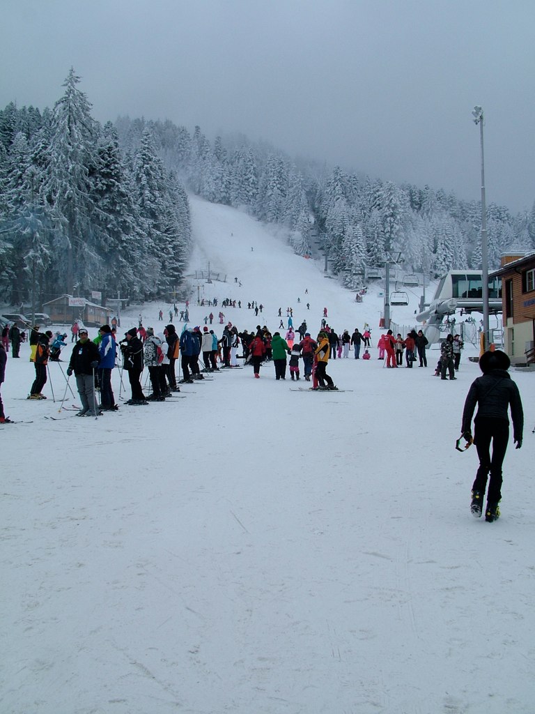 a crowd of skiers in a snowy field