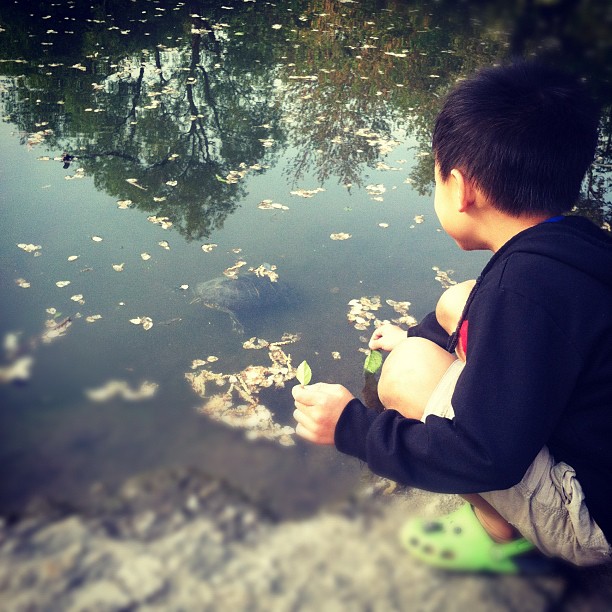 a boy playing with water from a pond
