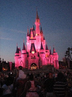 people are at a very large castle with pink light