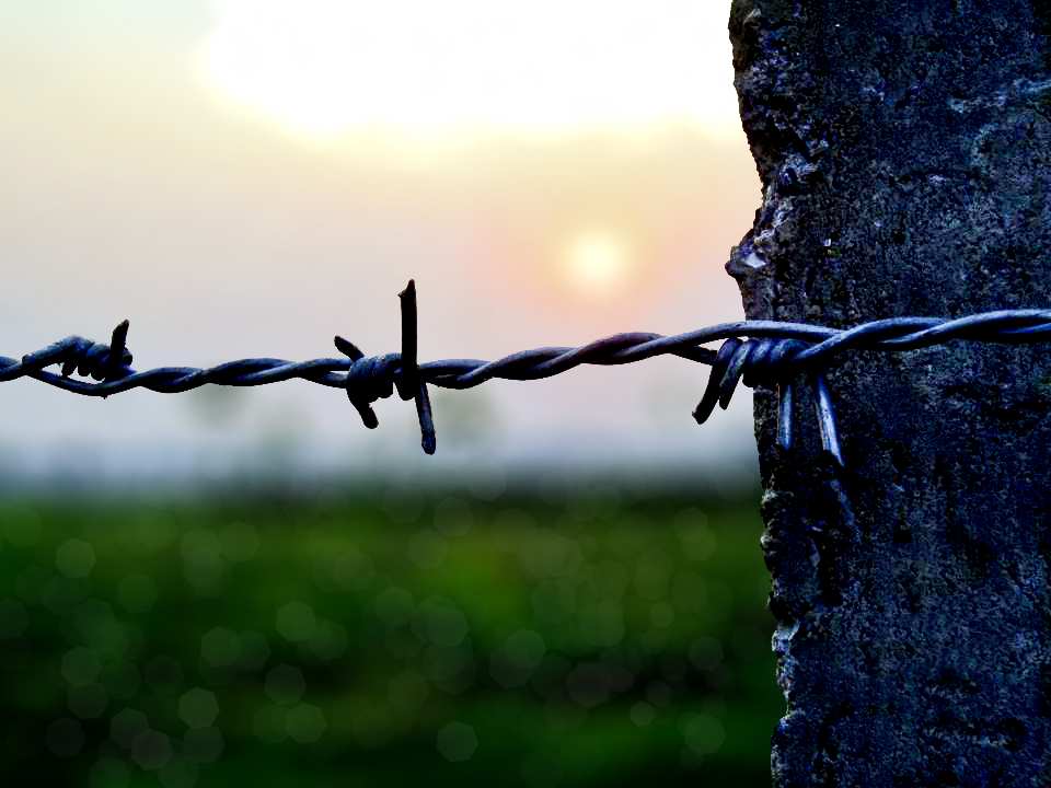 there is a large barbed wire behind the barbed wire