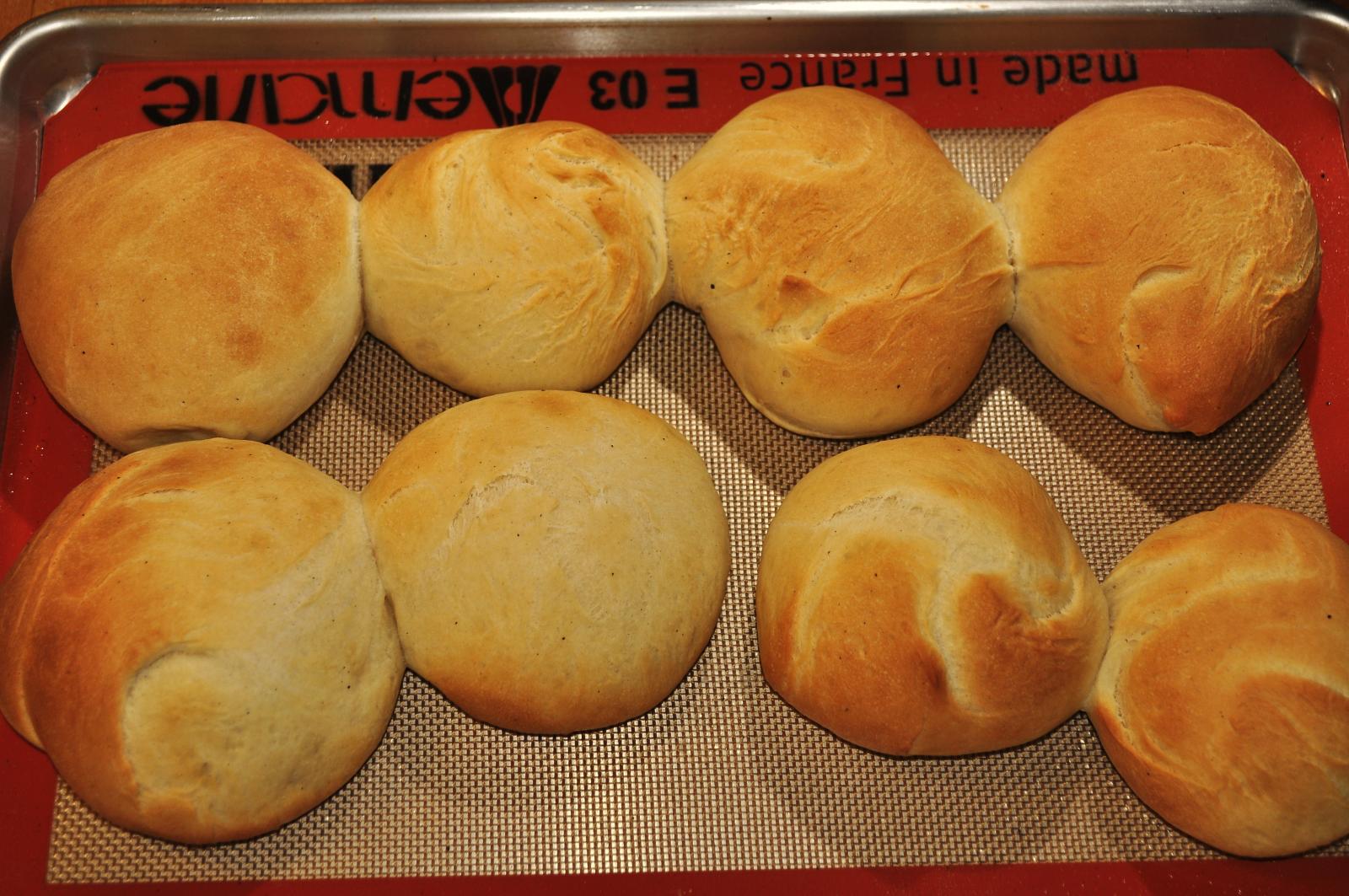 six rolls are arranged on a baking pan