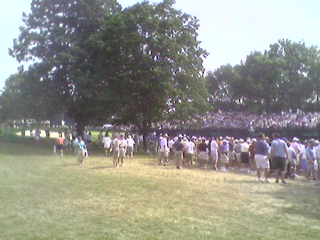 a crowd of people standing on top of a green field