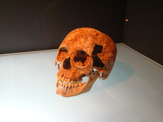 a human skull on a white table and a black backdrop