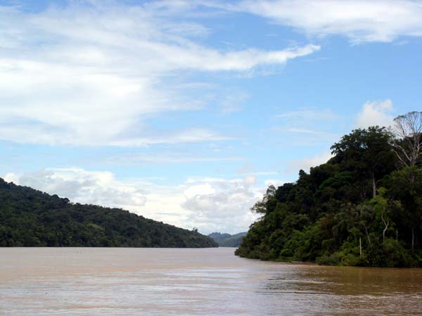 there are trees along the side of the water