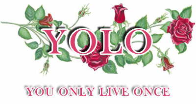 an illustration of a bouquet of roses with the words yolo on them