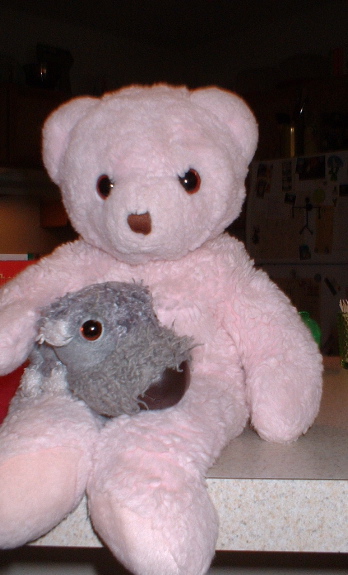 a pink teddy bear holding onto a grey stuffed bird