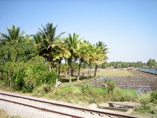 a railroad track has two benches and trees beside it