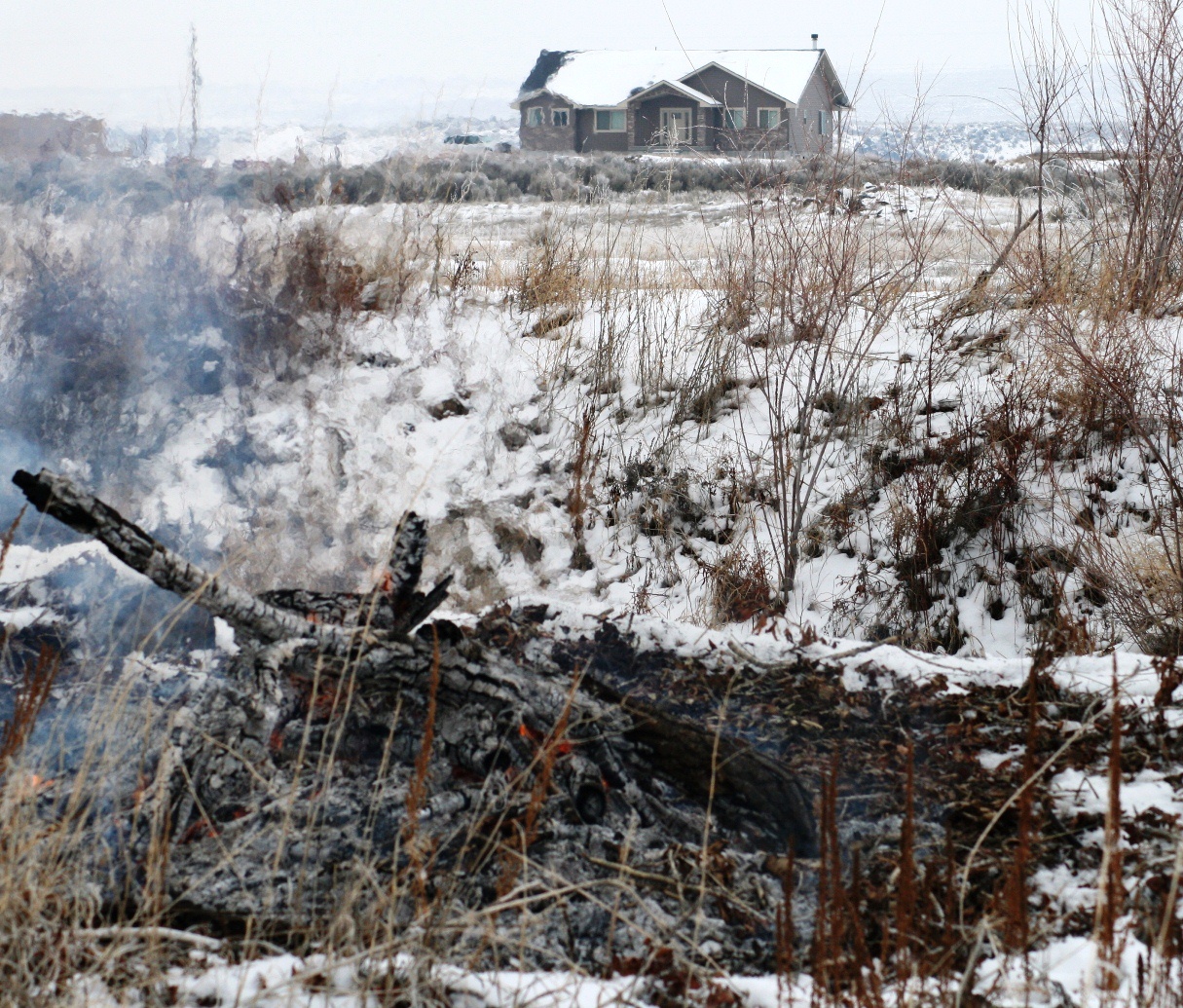 a dead tree lies on its side next to a large fire