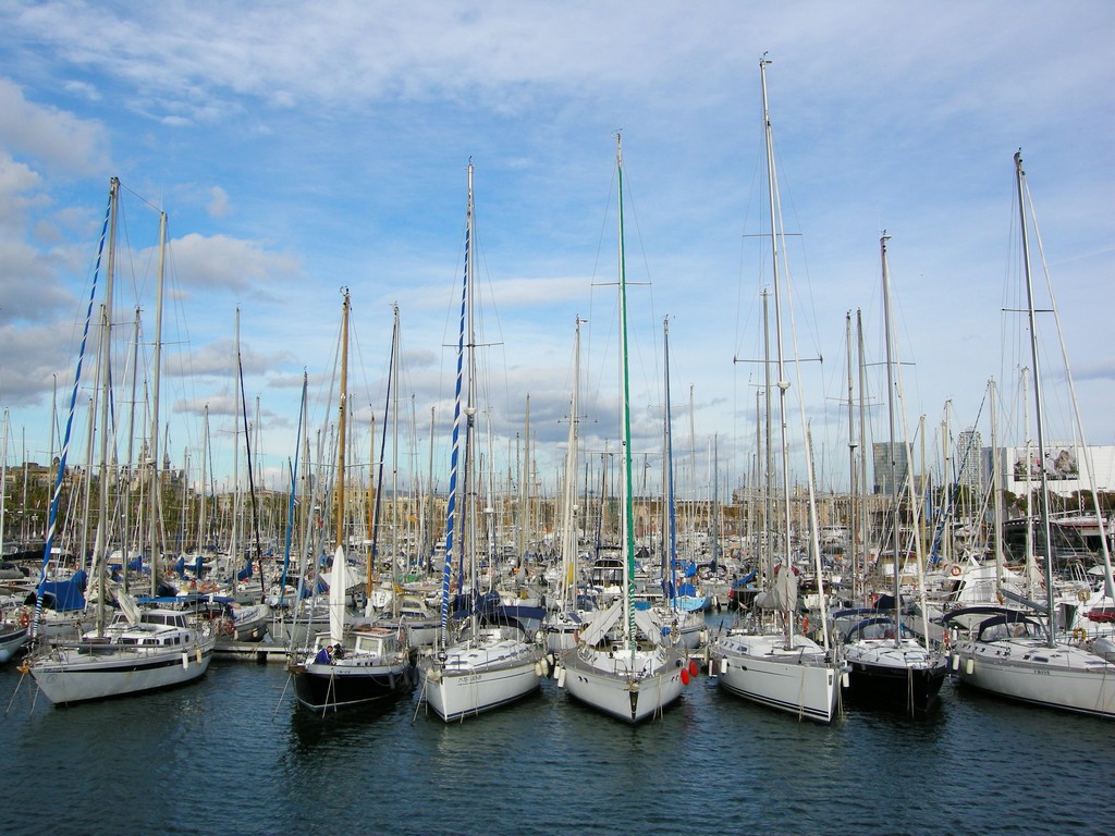 lots of sailboats docked in a harbor on a nice day