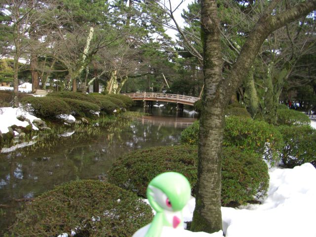 a green stuffed animal stands beside a pond