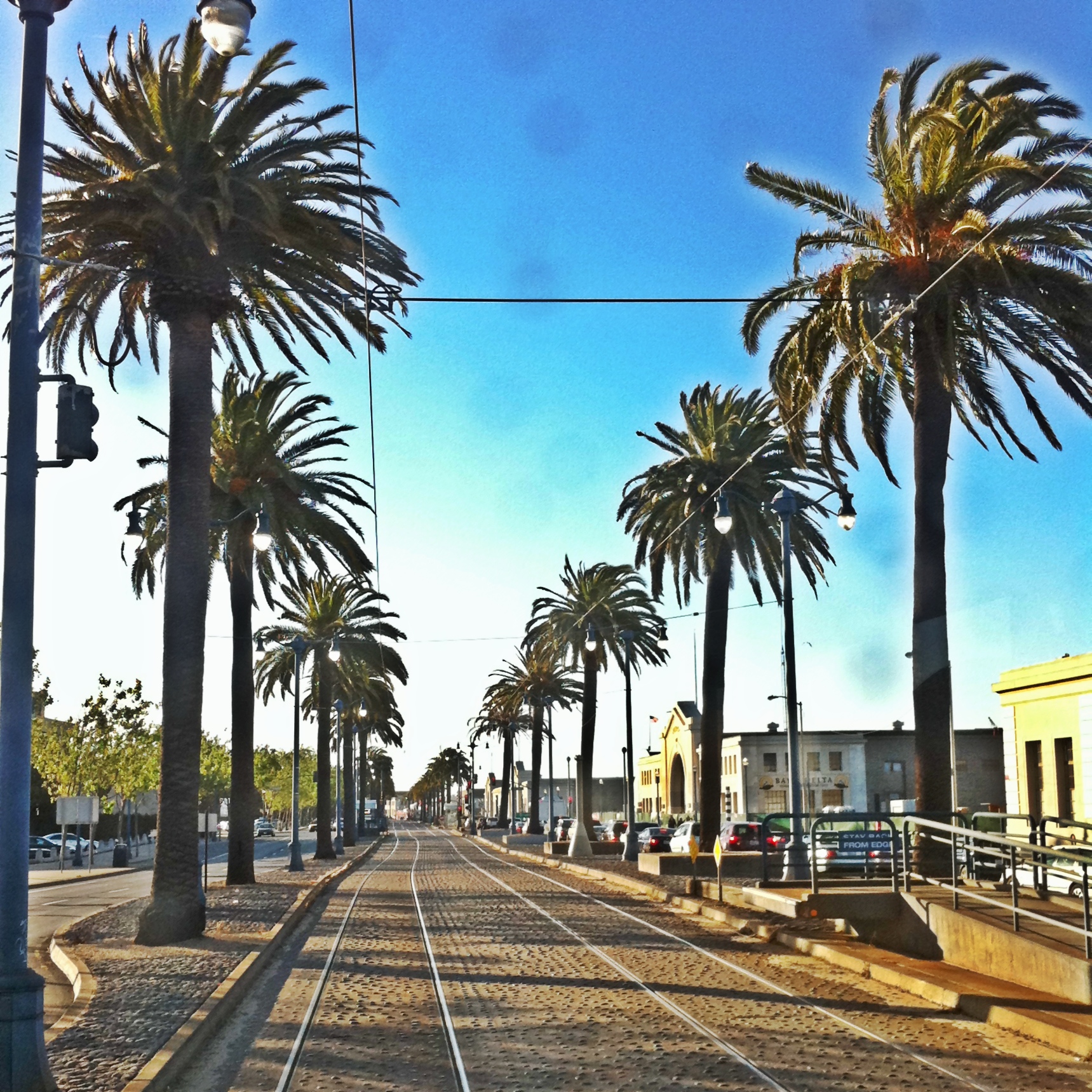 there are palm trees along this road and one is going down the track