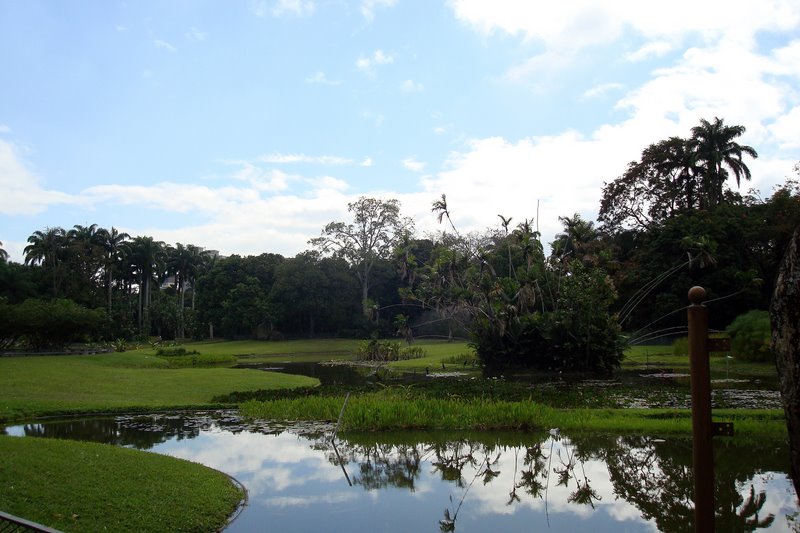 there is an image of a lake with trees in the background