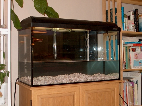 an aquarium on display in the corner of a room