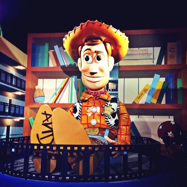 a picture of woody in a liry