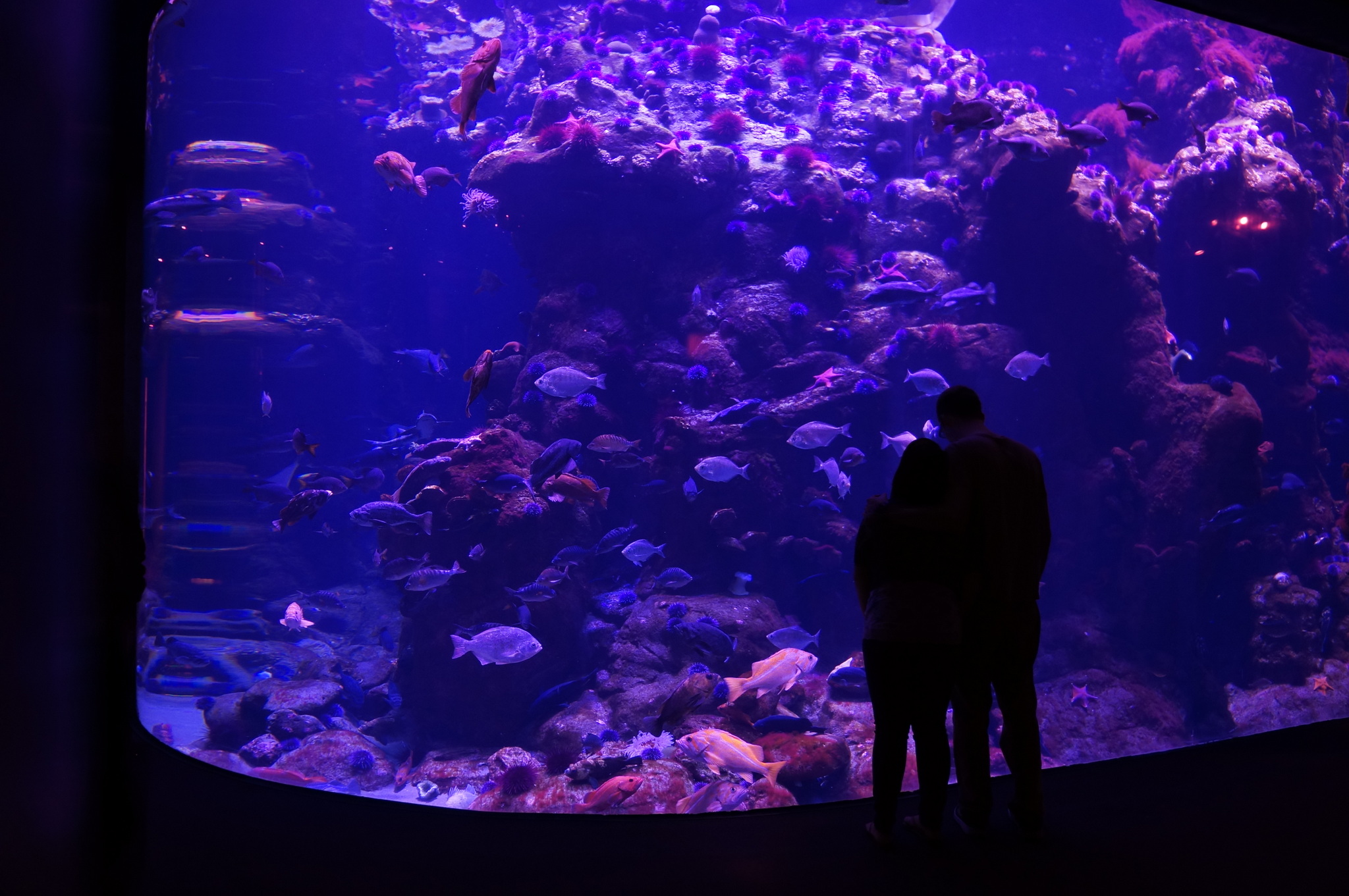 people standing next to each other near an aquarium
