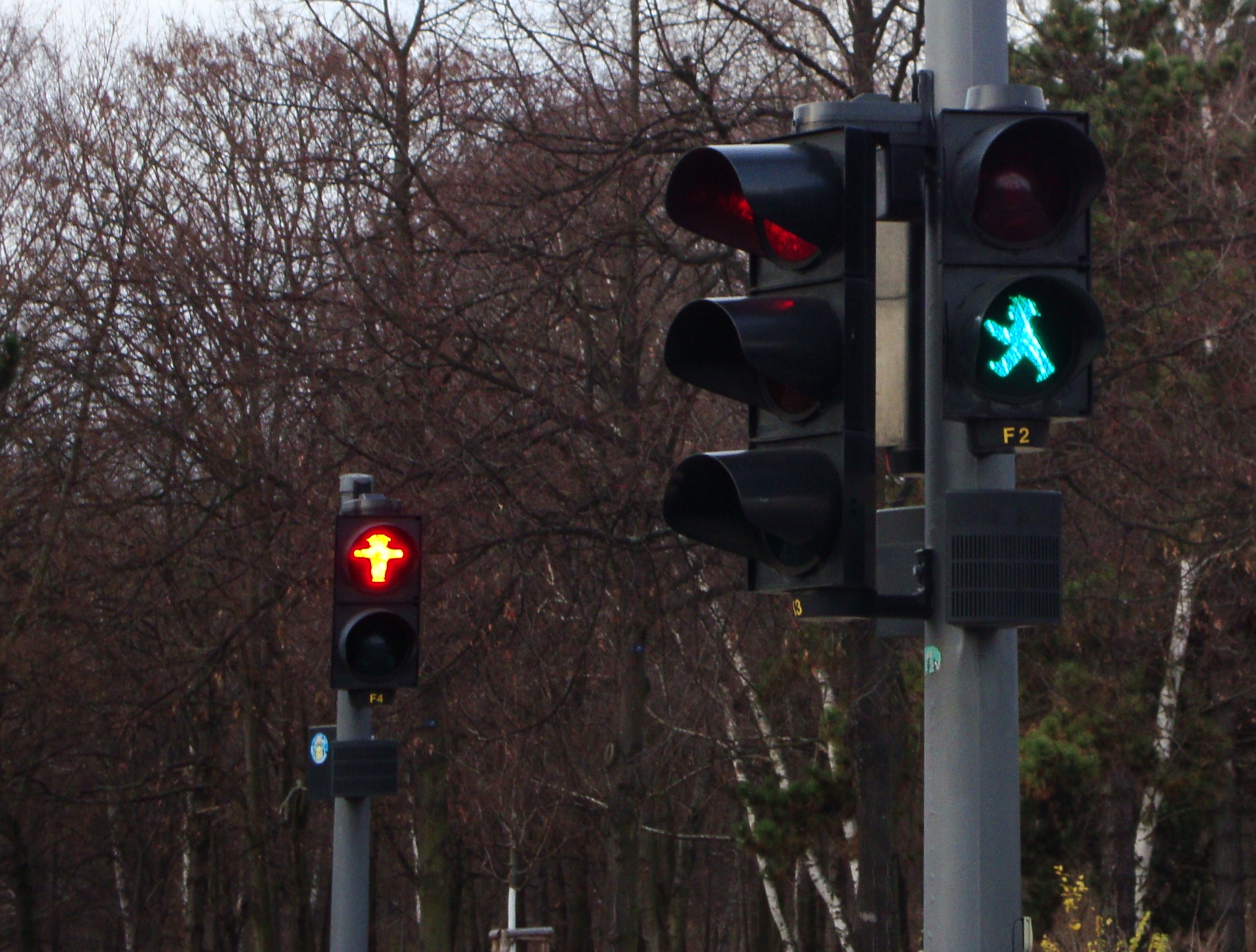 two traffic lights with green cross walk signal in foreground