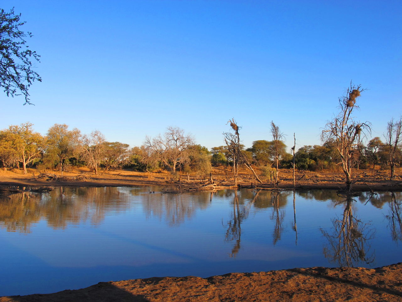 a large body of water surrounded by trees