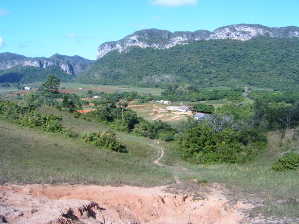 mountains and trees, including a dirt path, on a clear day