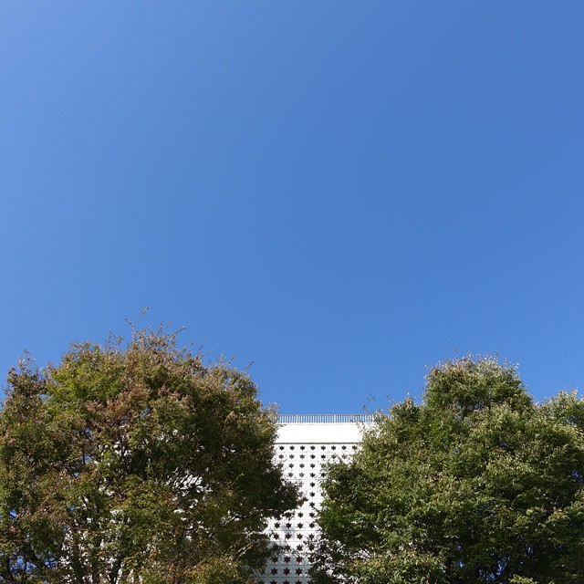 the building has two lines of trees against a blue sky