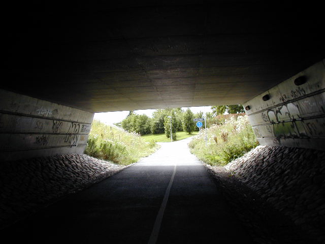 an image looking up at an empty tunnel