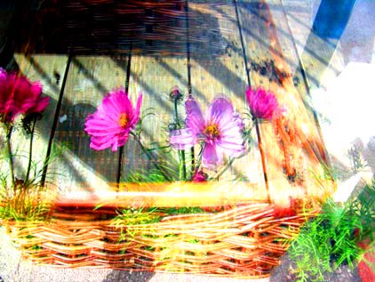 a picnic table has purple flowers in a basket