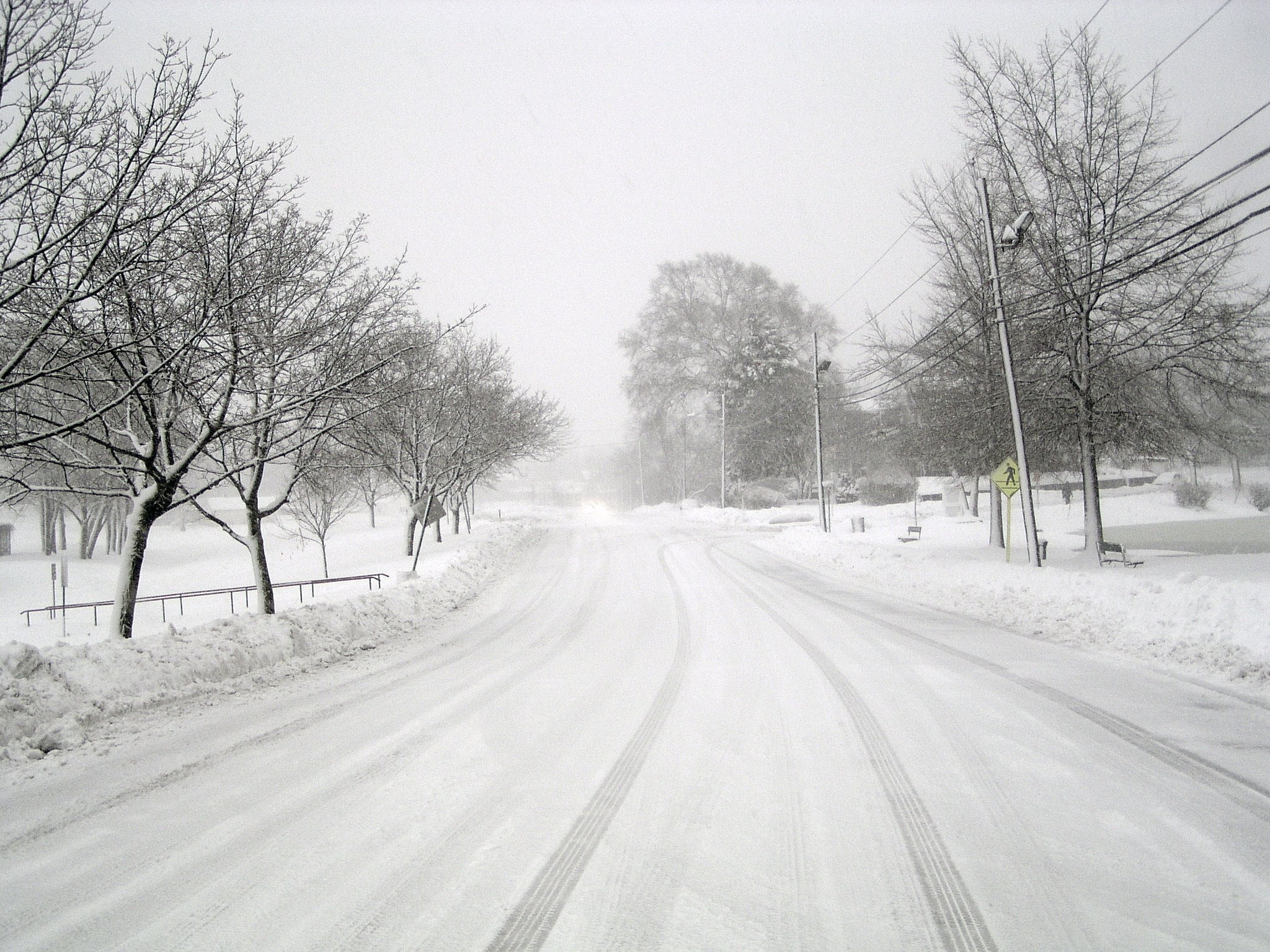 a snowy road with snow covered trees, power lines and a street sign on either side