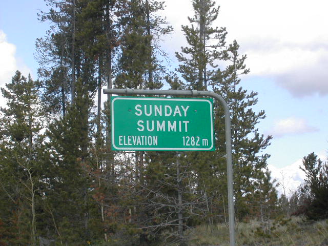 a street sign near some trees in the day