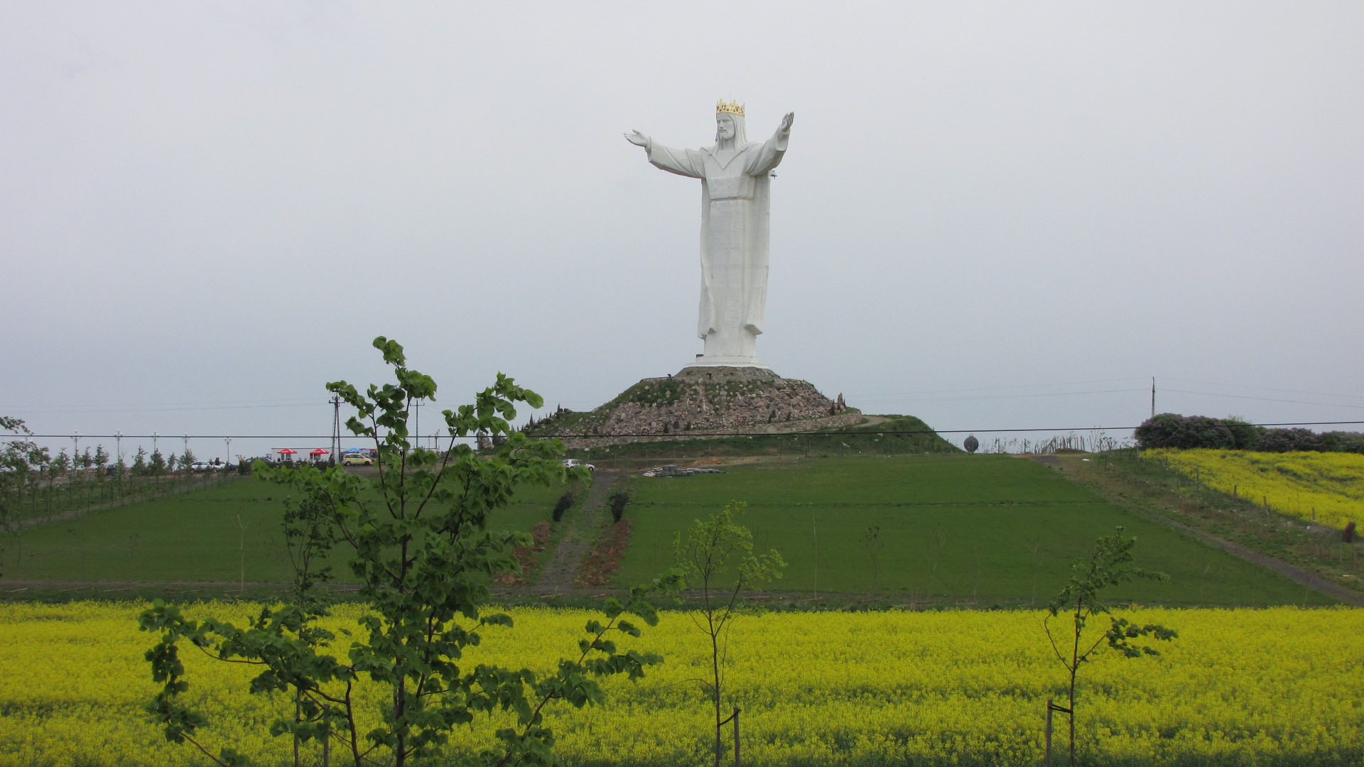 the statue is in the midst of many yellow flowers